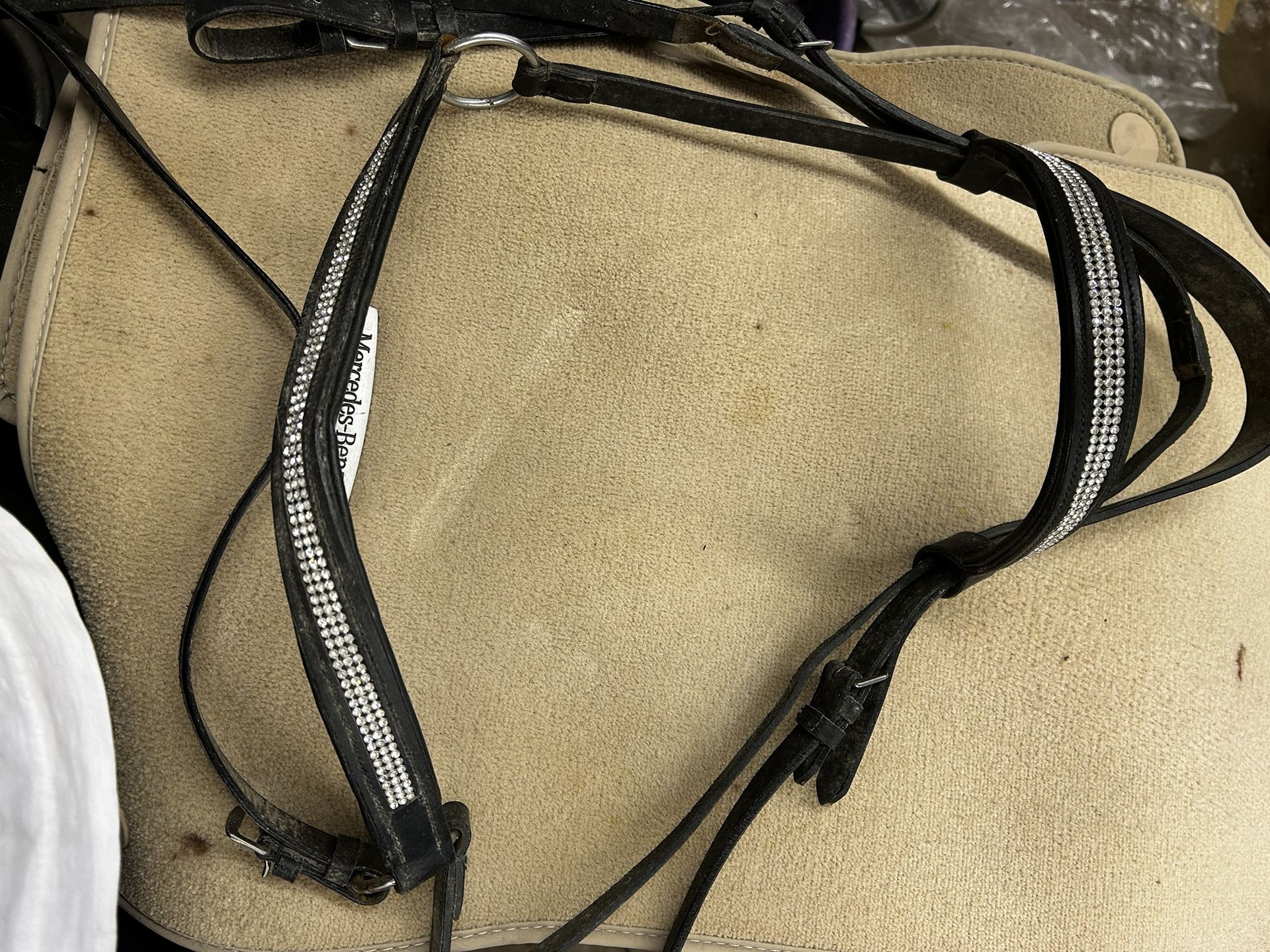 Bridle