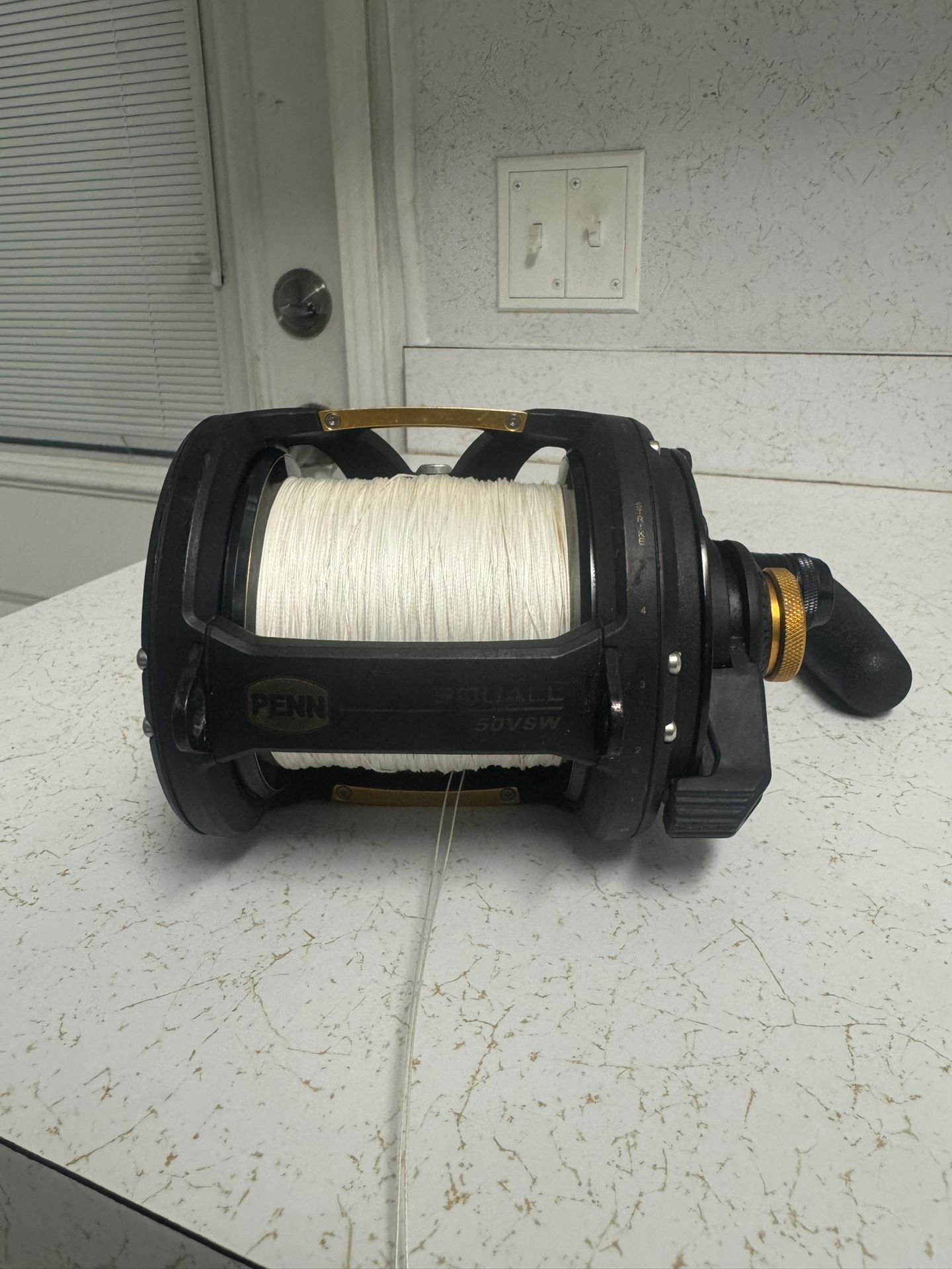 Penn Squall 50 Vsw 2 Speed Lever Drag