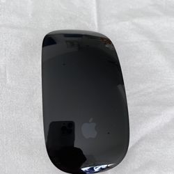 Apple Magic Mouse - Wireless Black