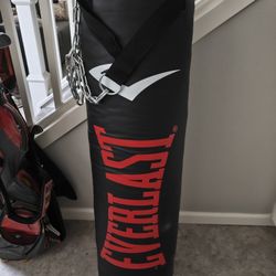 Everlast Heavy Bag