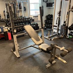Heavy Duty Adjustable Multi Purpose Weight Bench and Squat Rack (BENCH ONLY NO WEIGHTS)