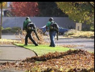 Fall Clean Up