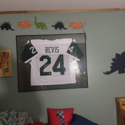 Darrell Revis Signed Framed Certified 