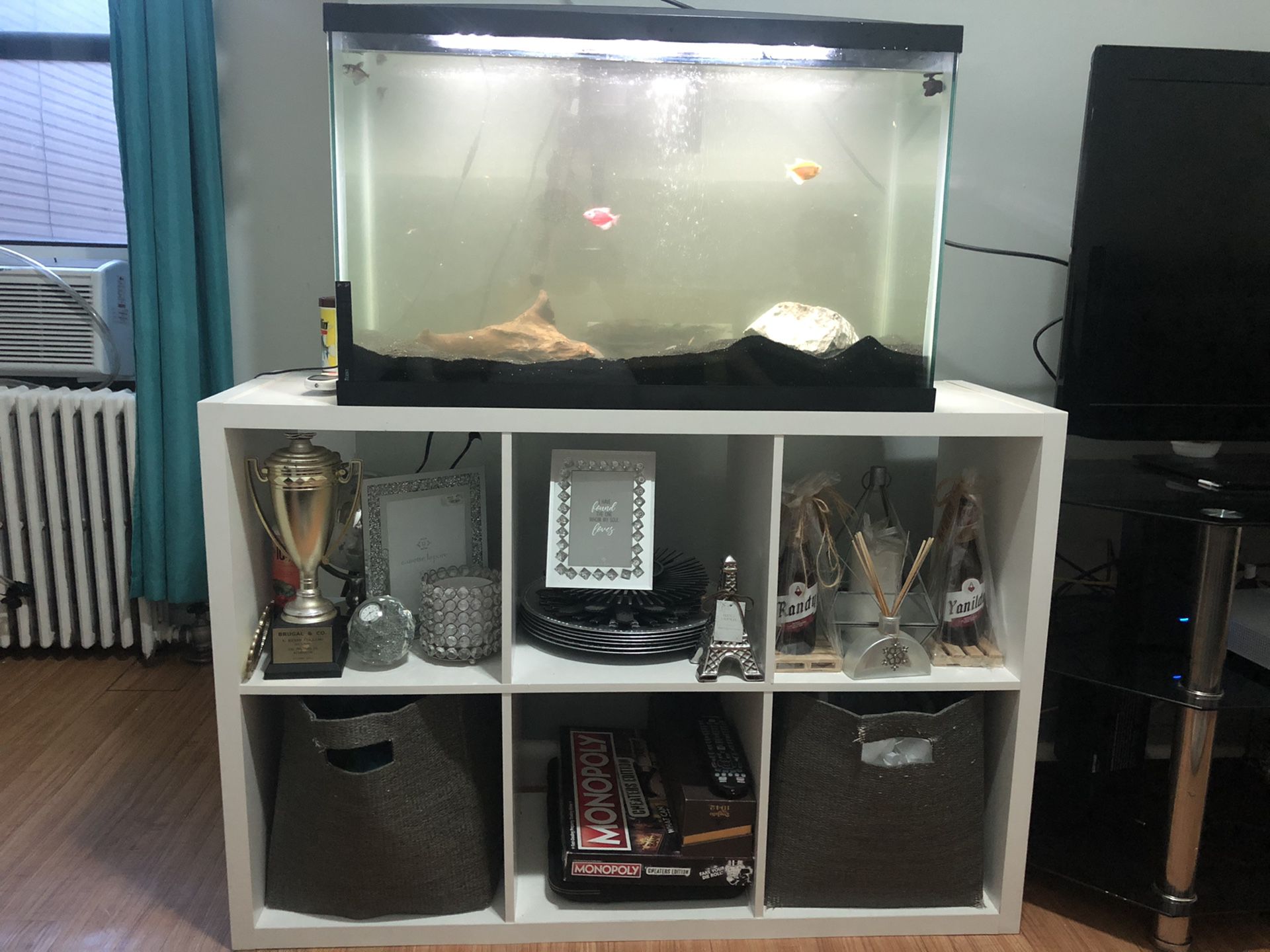 35g fish tank , fishes and the stand