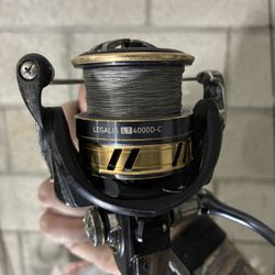 Penn And Daiwa Spinners & Rod