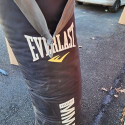 Everlast Leather Heavy 70 Pound Punching Bag