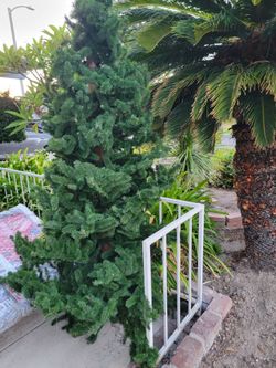 Christmas tree with stand