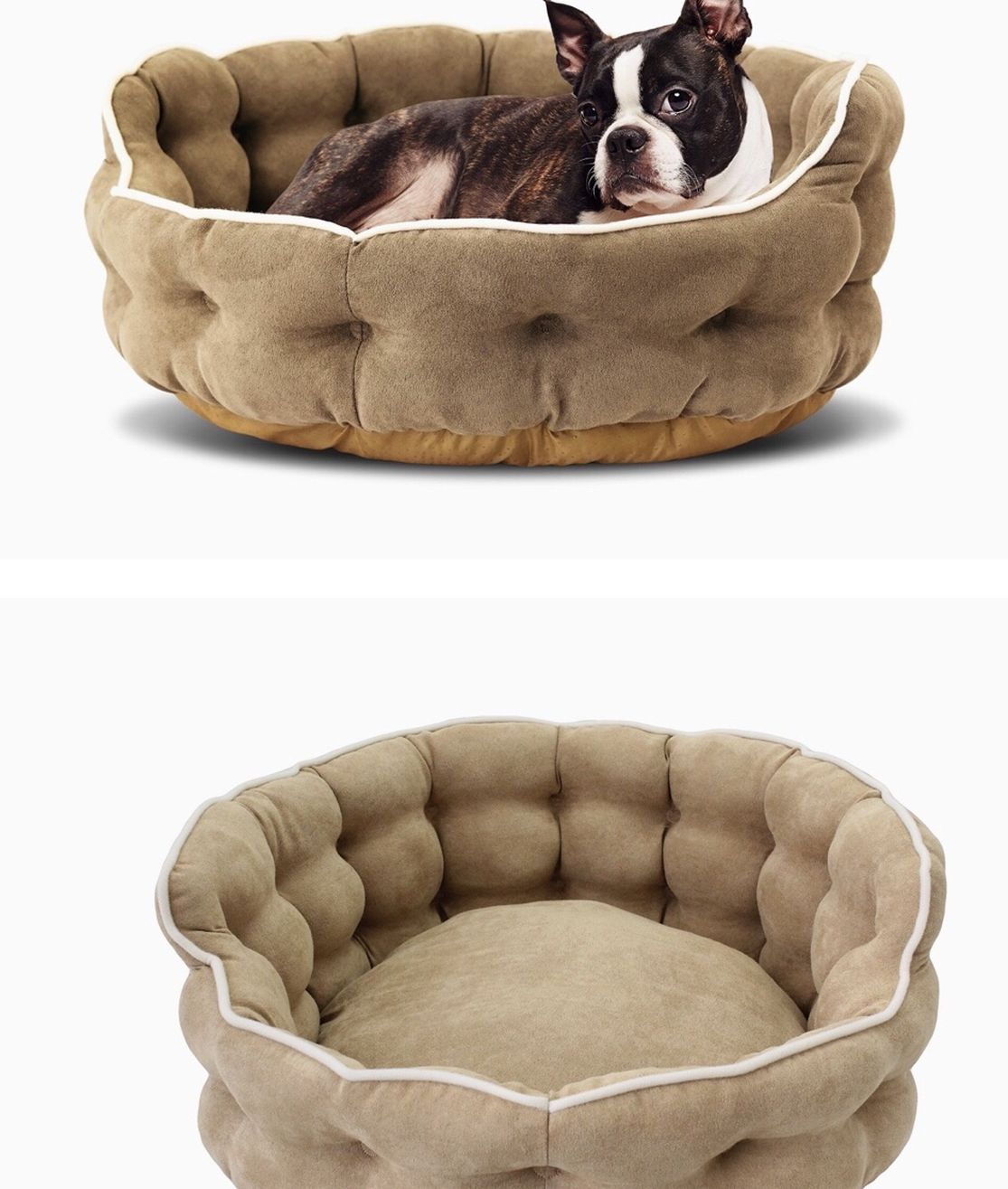 New Dog Bed
