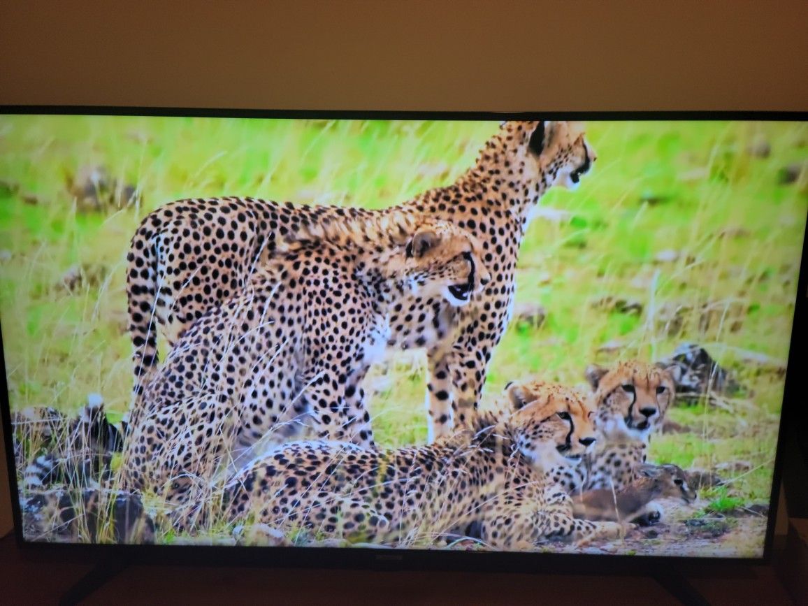 Samsung 55 inch 6 series Smart TV 2K