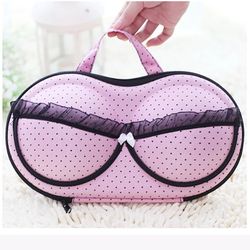 Bra and pantie organizer case
