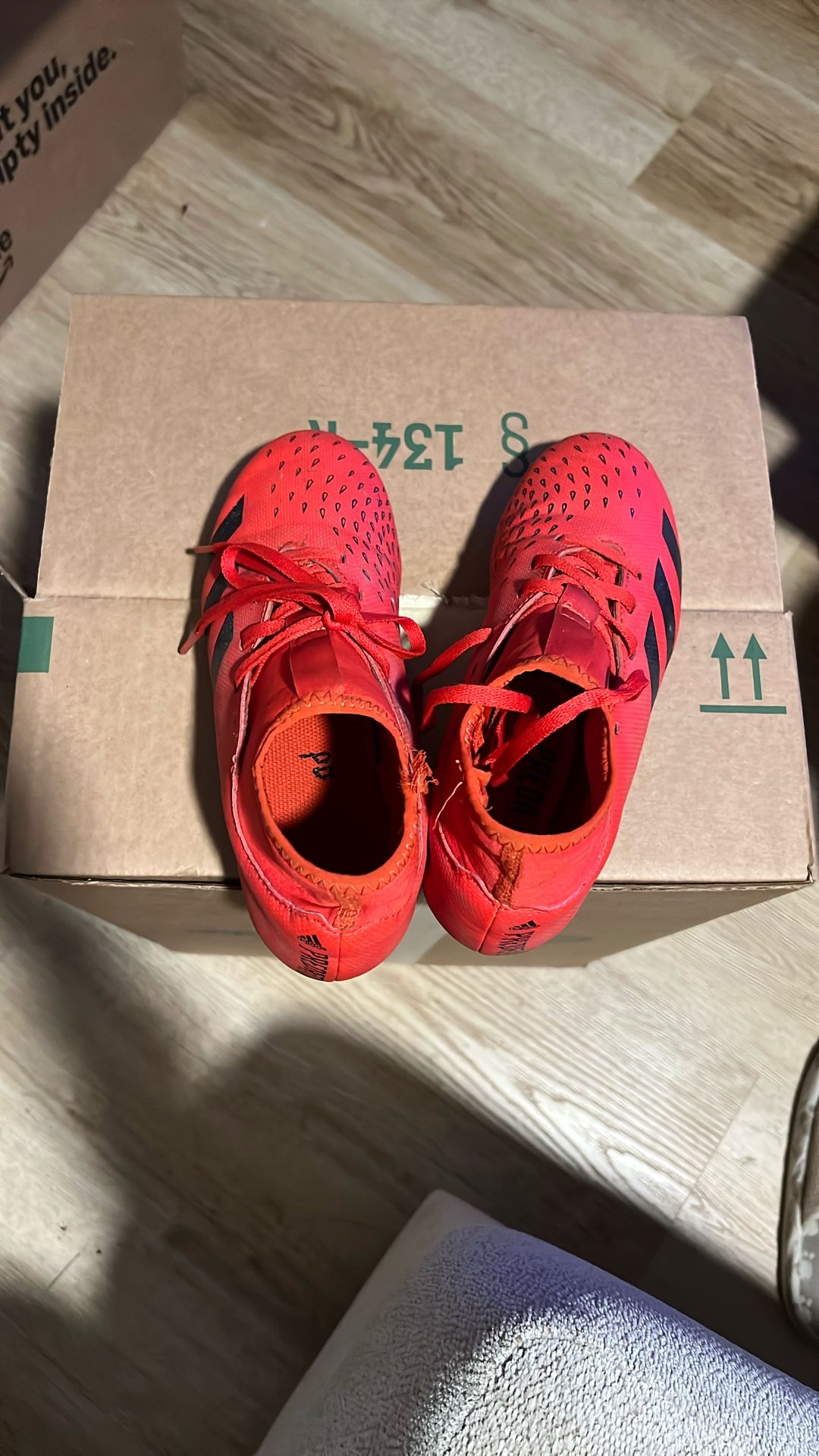 Adidas Predator Youth Soccer Cleats 3.5