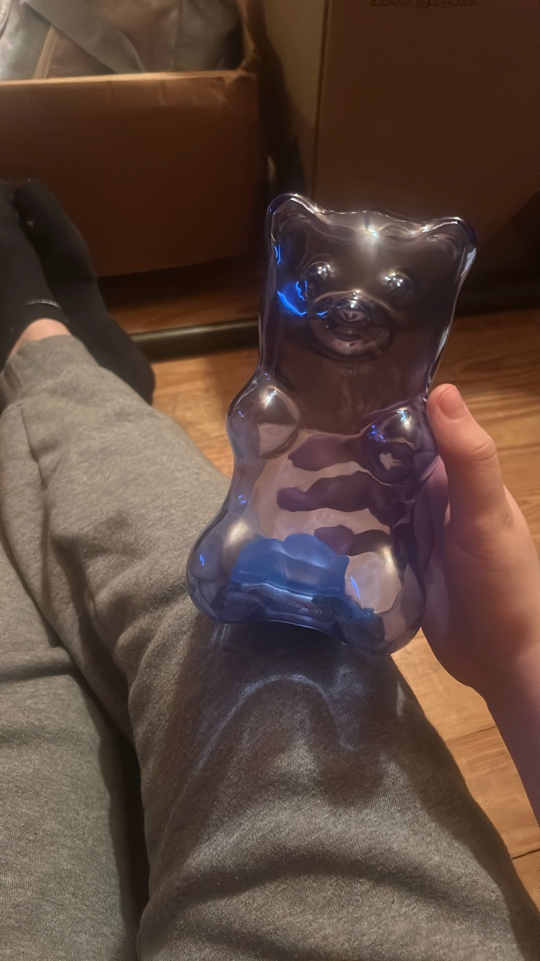 Bear Lamp