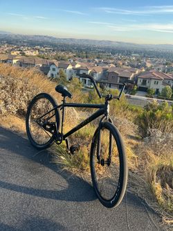 Throne 29er
