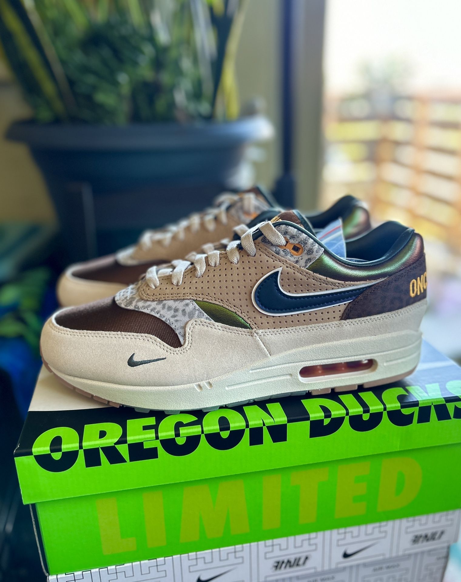 NIKE AIR MAX 1 ‘87 PREMIUM UNIVERSITY OF OREGON PE (2024)
