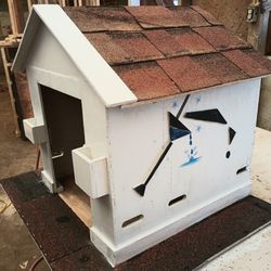Casita de Perro