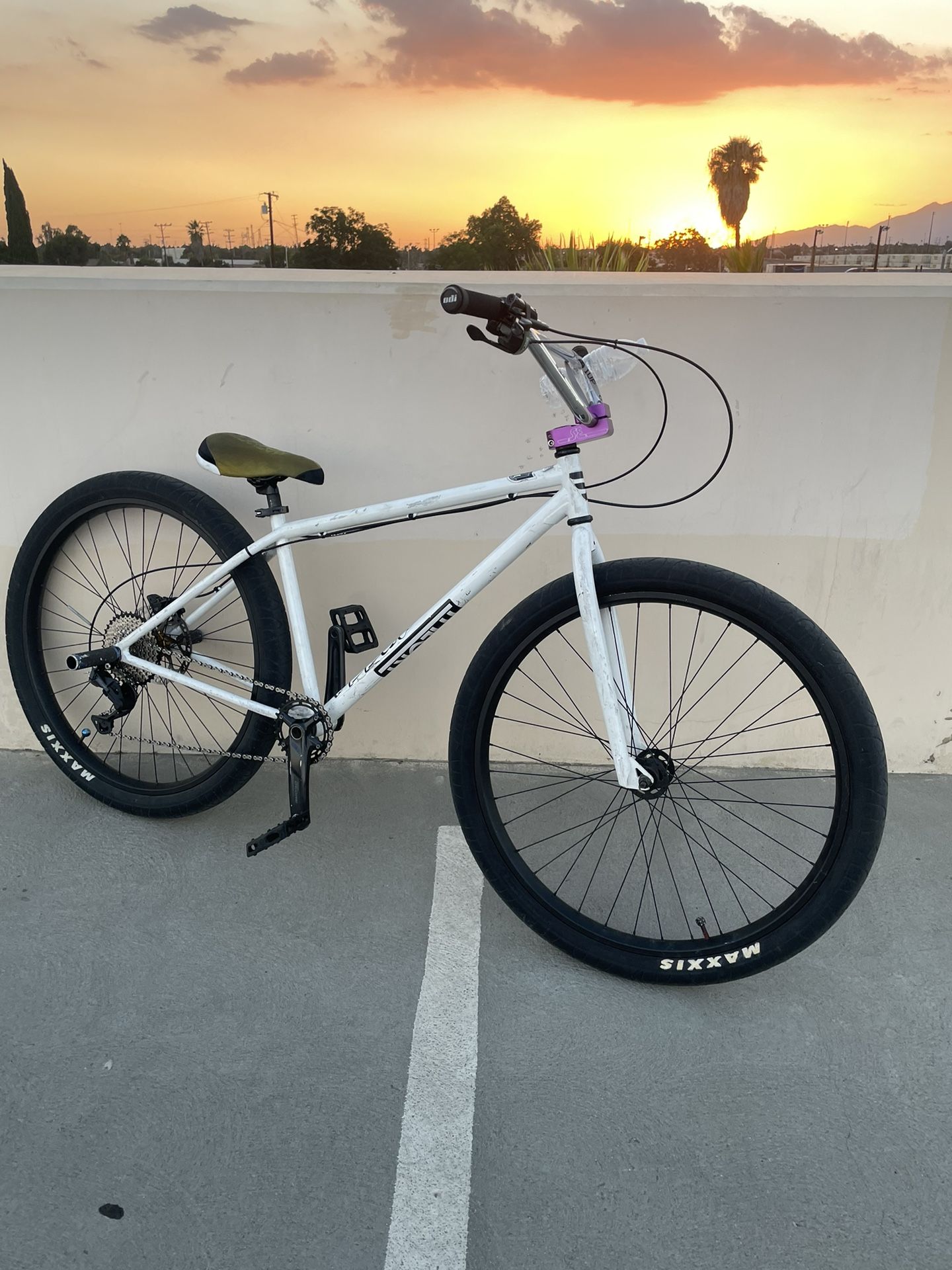 Mafia Bomma 29 frame trades only