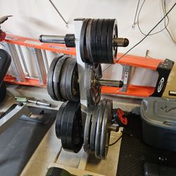 Olympic Plates
