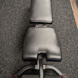 Bowflex Adjustable Weight Lifting Bench 