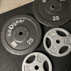 Standard Weight Plates 