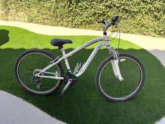 Bike Shwinn