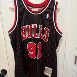 Chicago Bulls Rodman Jersey