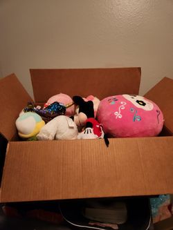 Box Full Of Random Plushies
