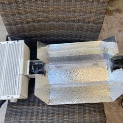 GROWING LIGHT WITH LIGHTBULBS 