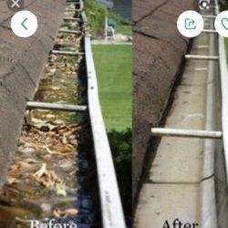 Gutters Clean Up