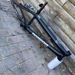 Mongoose Rebel 20 Inch Bmx Bike