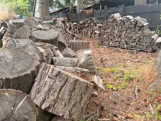 Seasoned Firewood ( Cheap )