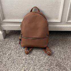Purse Backpack 