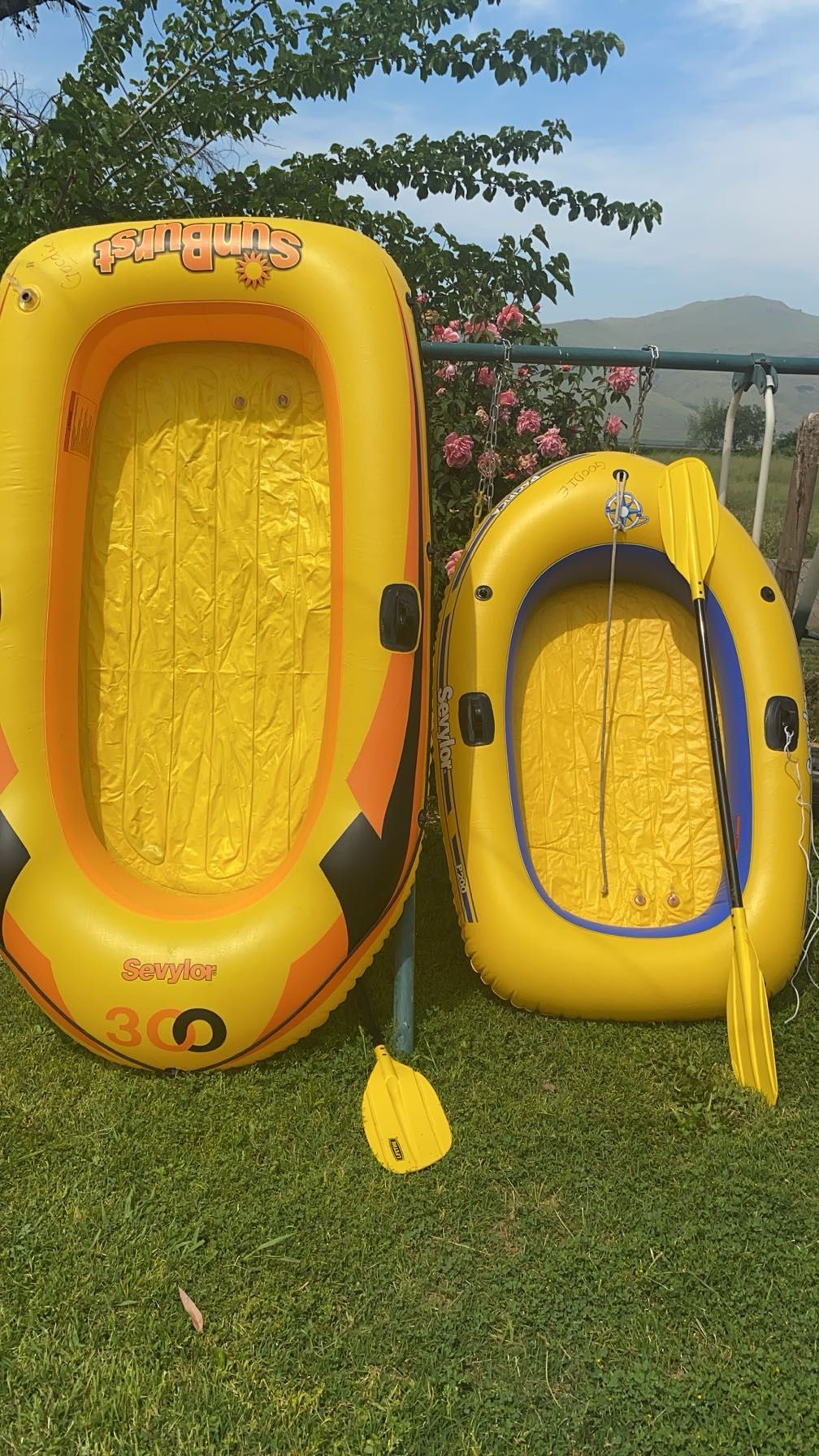 1 Large 1 Small Boats