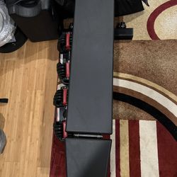 Bowflex Adjustable Dumbbells + Rogue Adjustable Bench (Home Gym Setup)