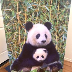 LARGE PANDA BEAR POSTER 