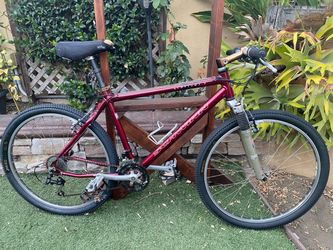 Schwinn S 95.3 aluminum frame MTB