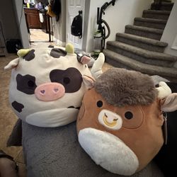 2 Medium Squishmallow For Sale 