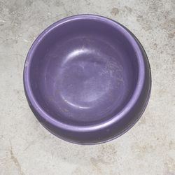 Dog Bowl