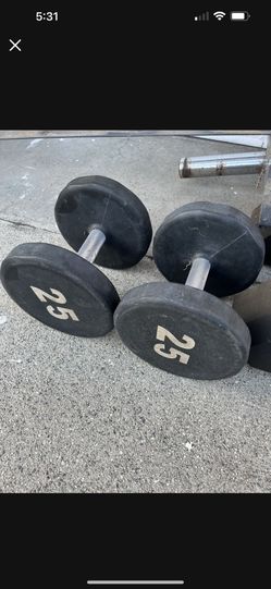 25LBS DUMBBELL SET