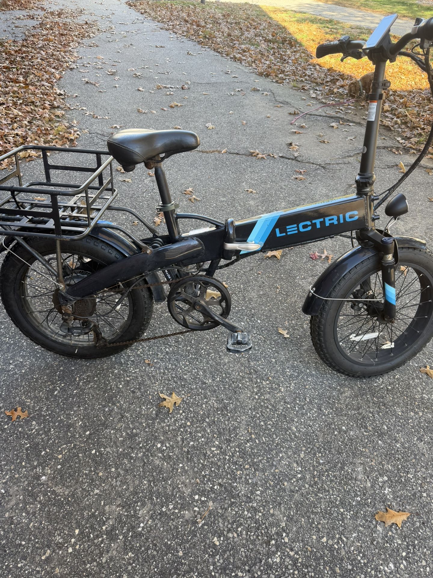 Electric E Bike