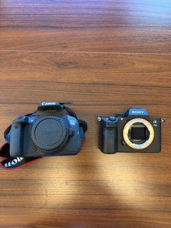 Canon & Sony Cameras