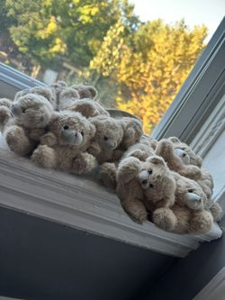 Size 8 Teddy bear clogs