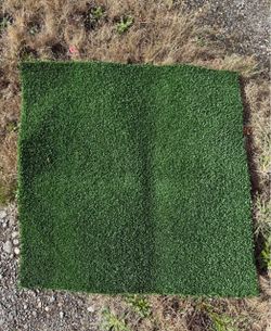 Piece of Astroturf grass