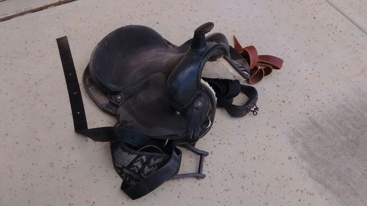 Big Horn 15" saddle