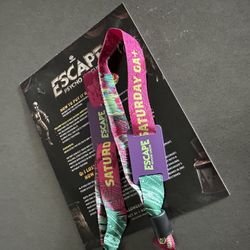 2 GA+ Tickets For Saturday 