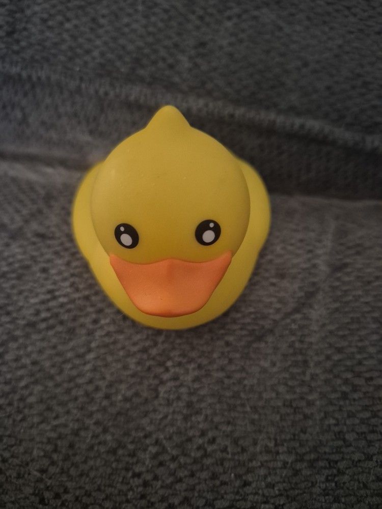 D&H Duck Baby Water Thermometer For Baby's Water
