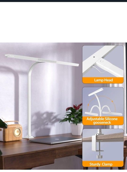 LED Desk Lamp