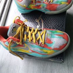 Venice Beach Kobe Size 4.5 Used In Box 