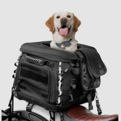 Goldfire Motorcycle Dog/Cat Carrier