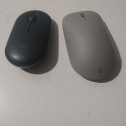 Computer mouse 🖱️
