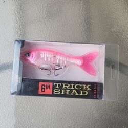 Bucca swimbait